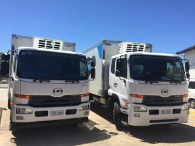 Two UD trucks fitted with Tranzfreeze refrigerated bodies