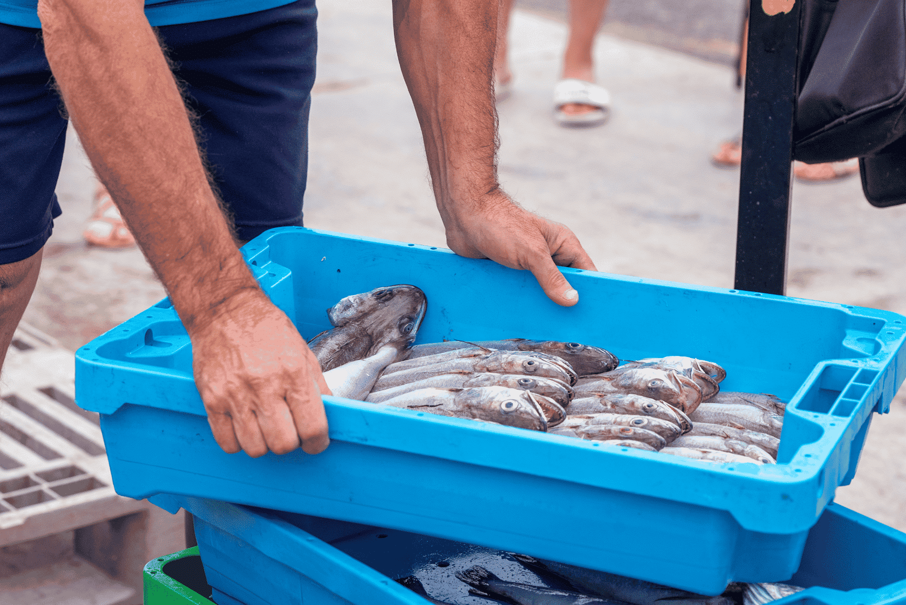 A person holding a blue container with fish.